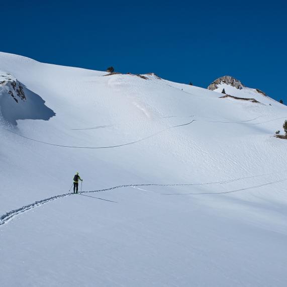 Esquí y nieve