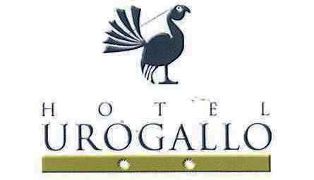 Hotel Urogallo in Vielha, Spain